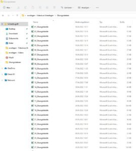 Excel Kurs, Übungsdateien