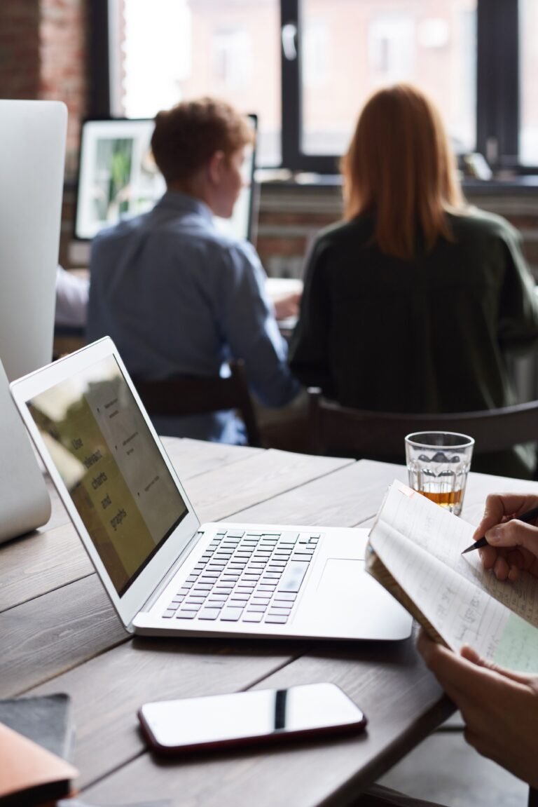 sap projekt management